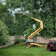 Best Tree Planting Services  in Twin Lakes, VA